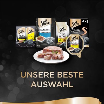 Multipack Sheba Varietäten Schälchen 64 x 85 g