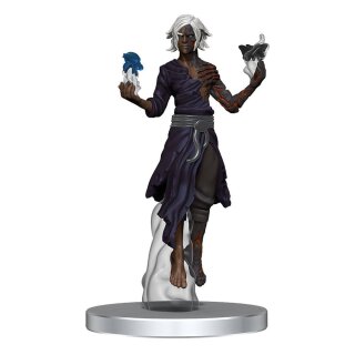 Pathfinder Battles Miniaturen: Impossible Lands - Masters of Magic Boxed Set (8) (pre-painted)