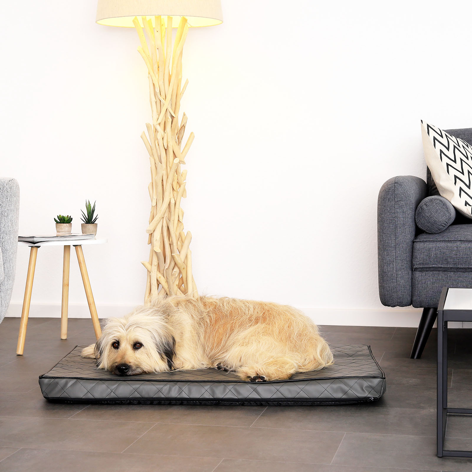 Lionto Hundebetten Lionto Orthopädische Hundematte L