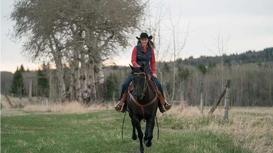 Heartland - Paradies für Pferde, Staffel 11 (Neuauflage)  [6 DVDs]