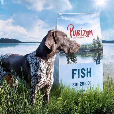 Purizon Fisch Adult - getreidefrei