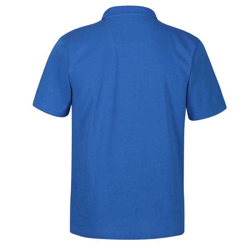 Regatta Sinton Poloshirt Herren