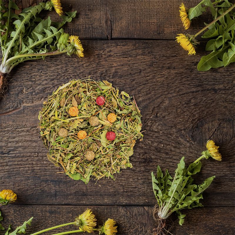 JR Farm Grainless Crunchy-Herbs Drops zu TOP-Preisen | bitiba %