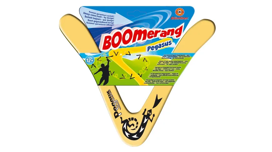 Günther Flugmodelle - Pegasus Boomerang