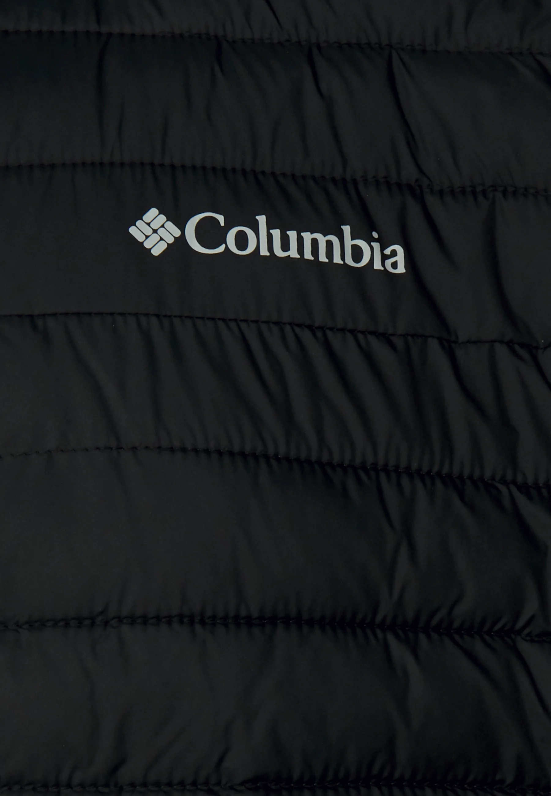 Chaqueta de otoño plateada de Columbia - Chaqueta de invierno