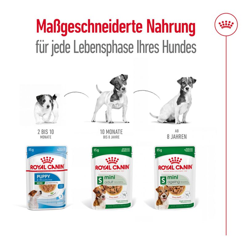 Royal Canin Mini Ageing in Soße