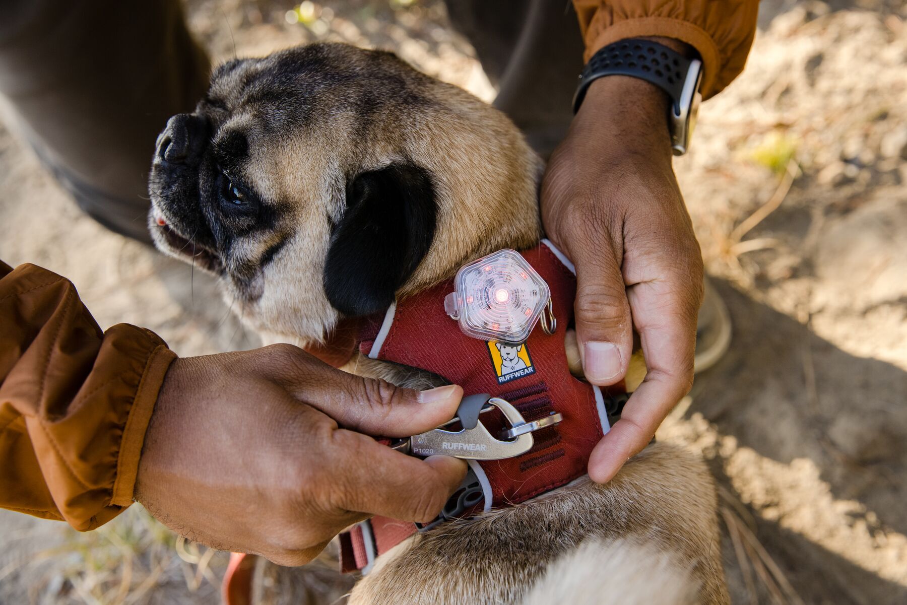 Ruffwear Hundeleinen Ruffwear Front Range™ Leine rubin