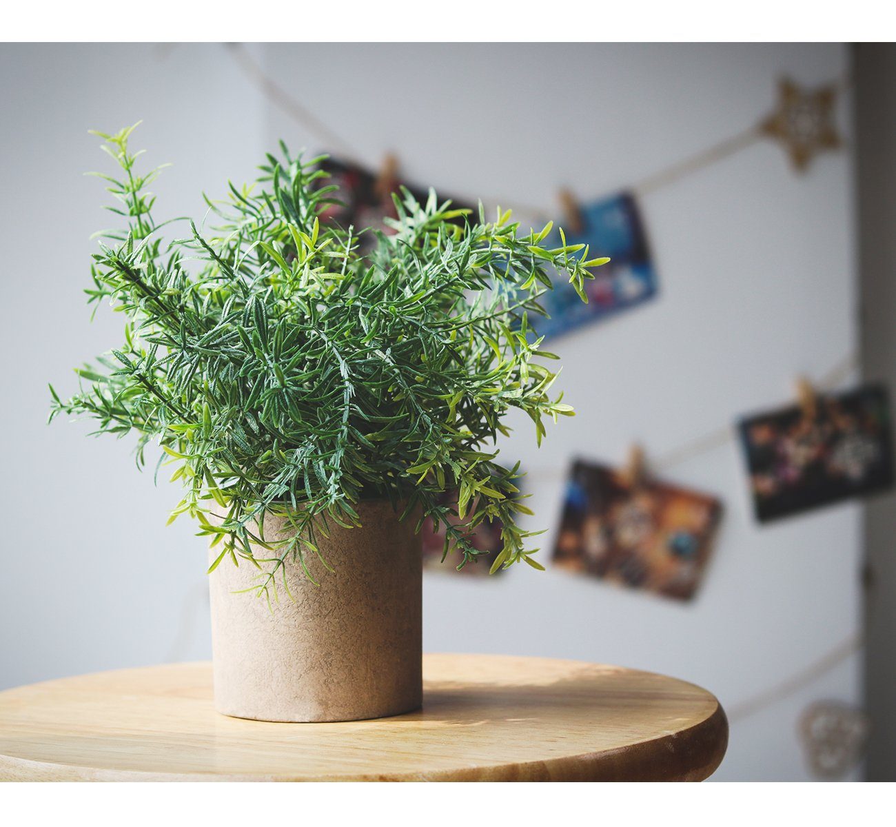 Künstliche Zimmerpflanze 3 Stück Mini Kunstpflanzen mit Töpfen Eukalyptus Rosmarin Babysbreath, Homewit, Tischdeko Haus Balkon Büro Deko