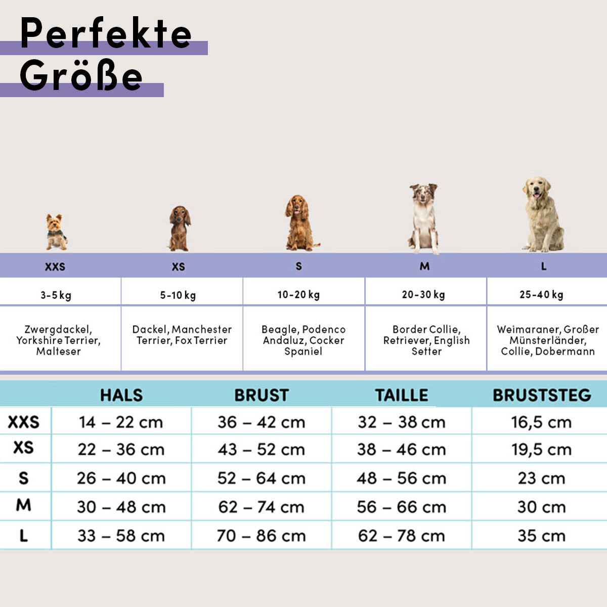 STUCH Hundegeschirre STUCH Geschirr Hund gepolstert schwarz XS