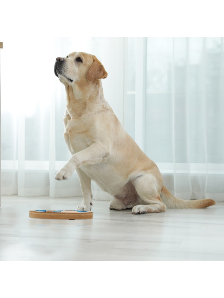 relaxdays Hunde-Intelligenzspielzeug in Natur/ Blau günstig kaufen onesize
