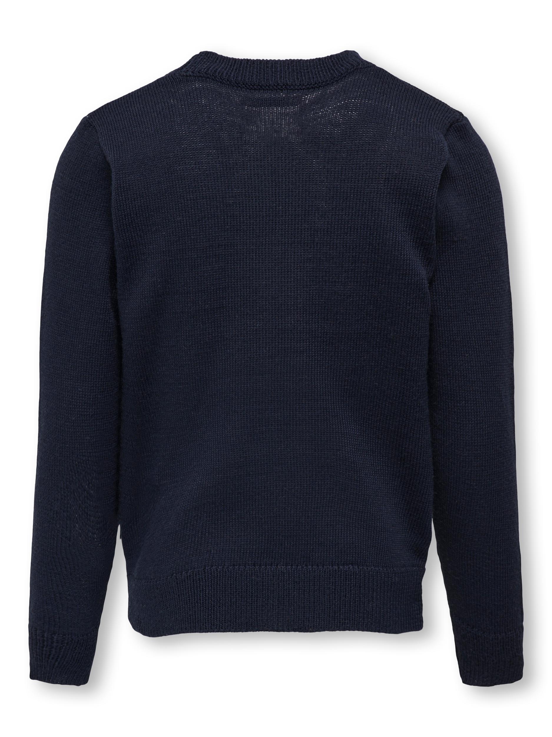 Sweater 'XMAS DACHING'