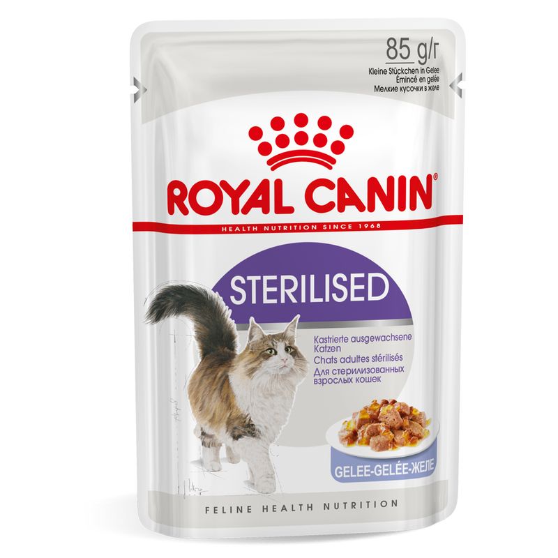 Royal Canin Sterilised in Gelee zu TOP-Preisen