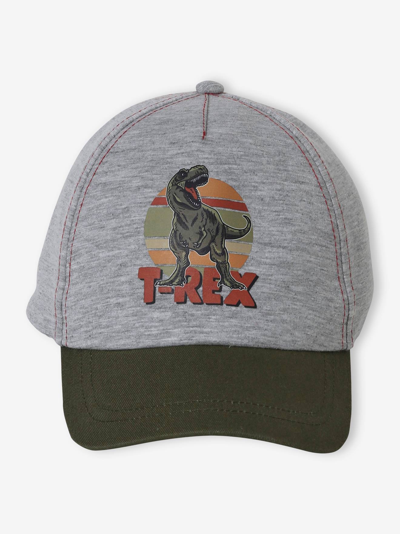 Casquette T-Rex garçon gris chiné