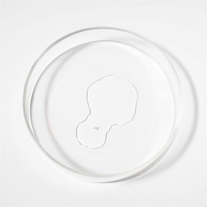 Bio-Pilixin® Serum Women
