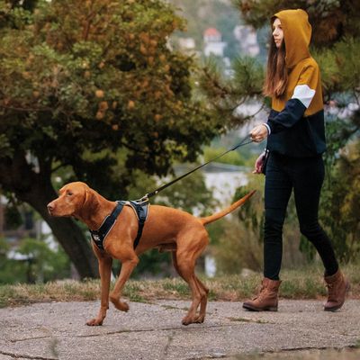 JULIUS-K9 IDC® Longwalk Geschirr - schwarz/grau