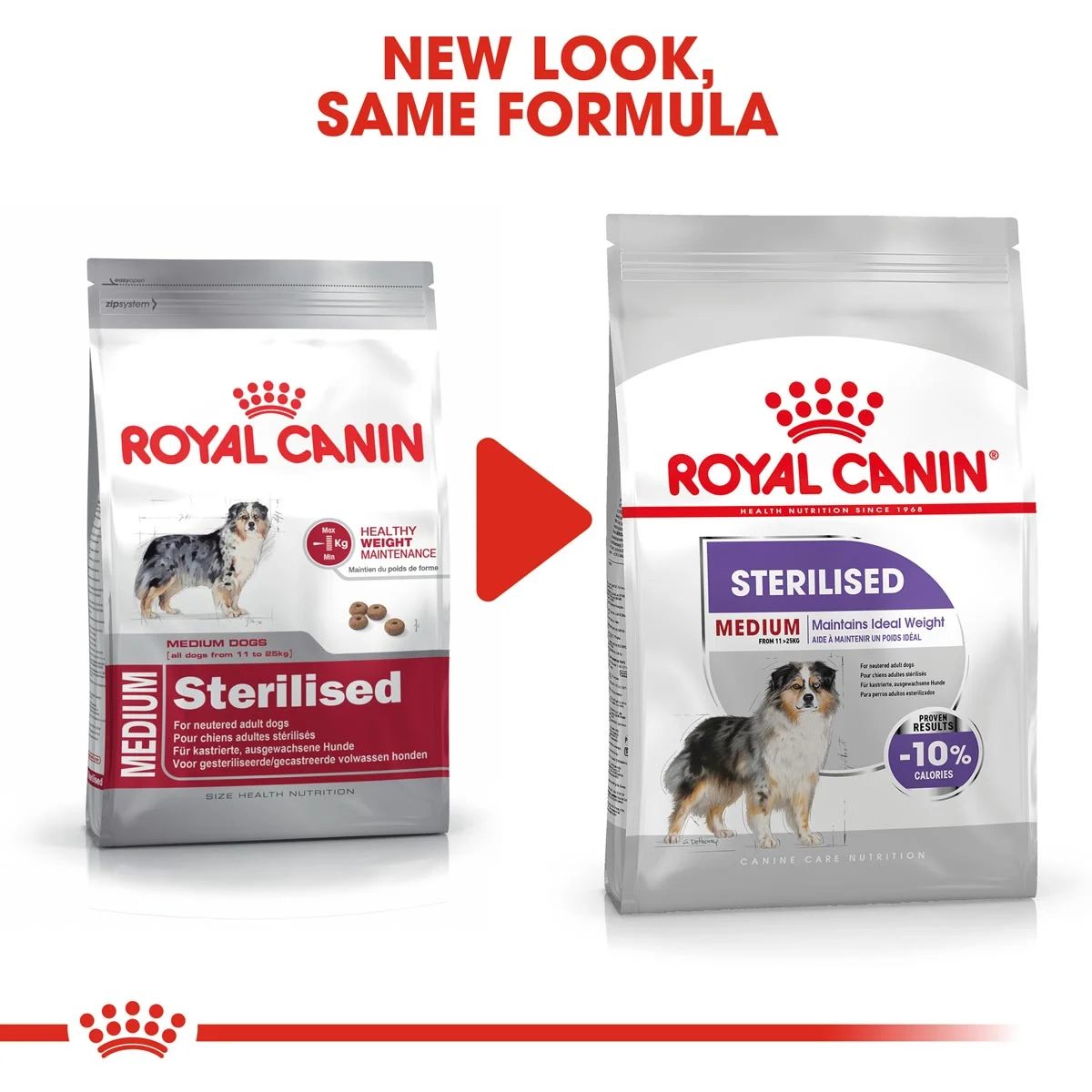 ROYAL CANIN STERILISED MEDIUM Trockenfutter für kastrierte mittelgroße Hunde