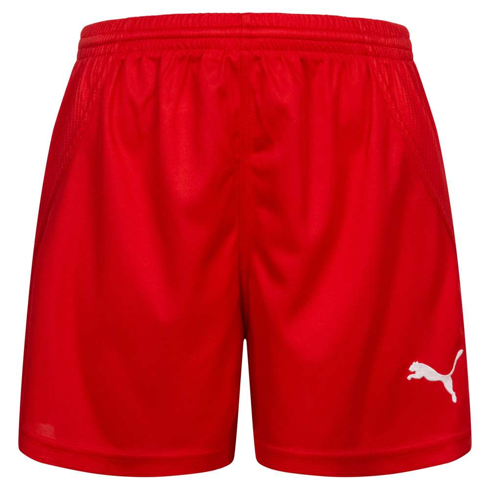 DHF Dänemark PUMA Damen Handball Shorts 739217-02