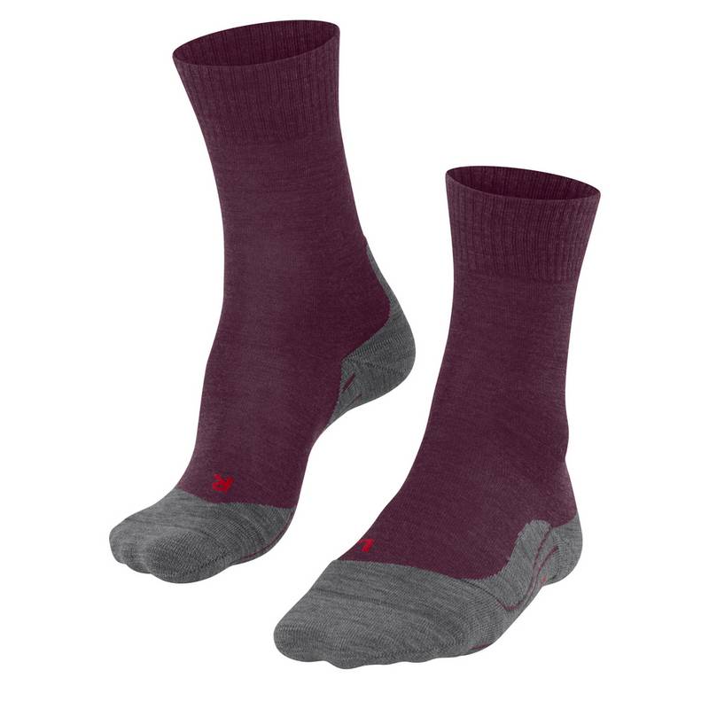 Falke TK5 Wander Wandersocken Damen