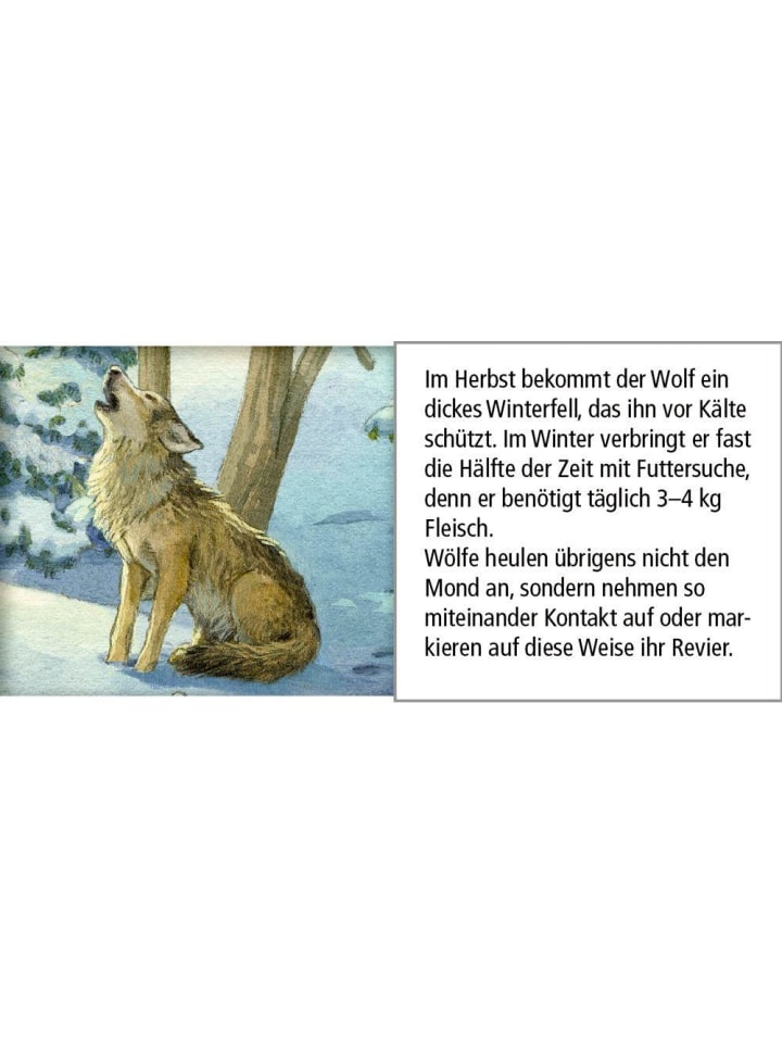 Coppenrath Sound-Adventskalender - Hört ihr die Tiere im Winterwald? günstig kaufen onesize