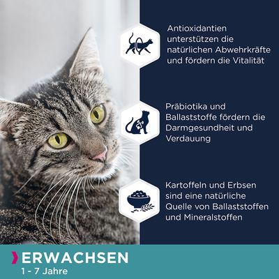 Eukanuba Adult Grain Free Reich an Lachs
