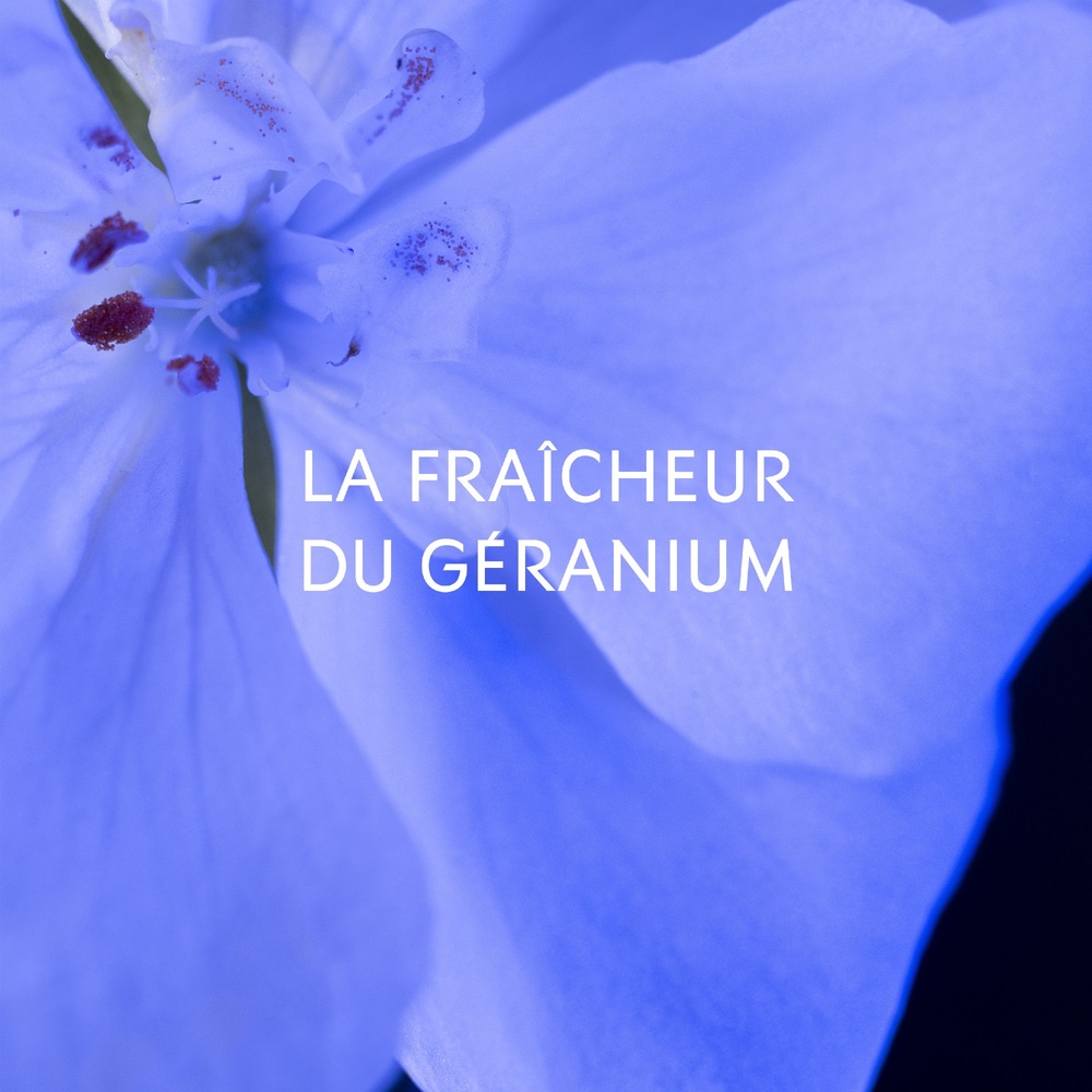 Yves Saint Laurent Y Le Parfum - Eau de Parfum