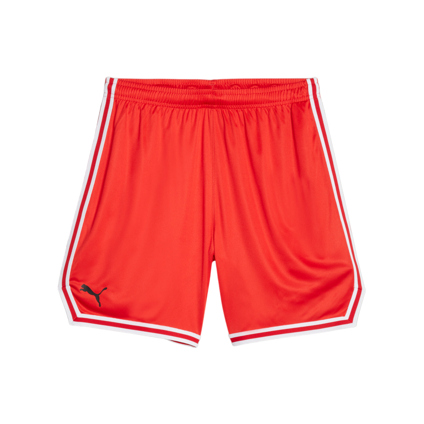 PUMA Hoops Team Game Short Rot F04