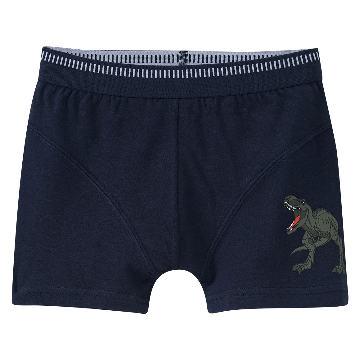 3 Jungen Boxer mit Dino-Motiven