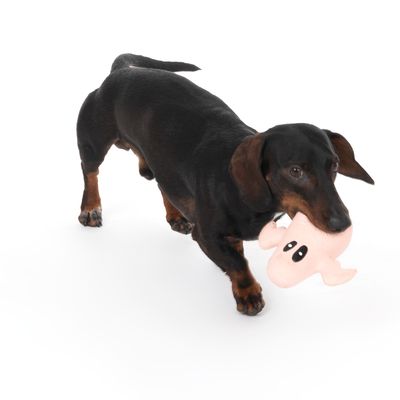 TIAKI Hundespielzeug Latex Geist