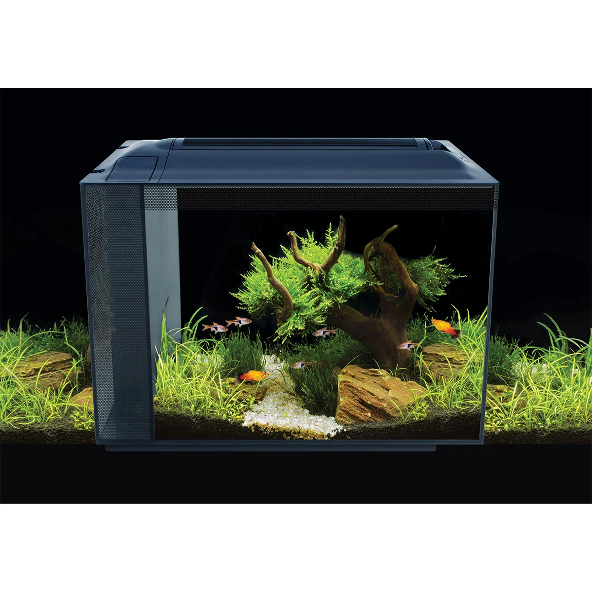 Fluval Aquarium SPEC XV 60 L. schwarz günstig kaufen