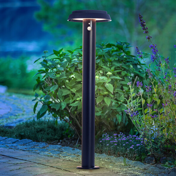 LED-Solar-Wegeleuchte Alvero mit Bewegungsmelder, 70 cm