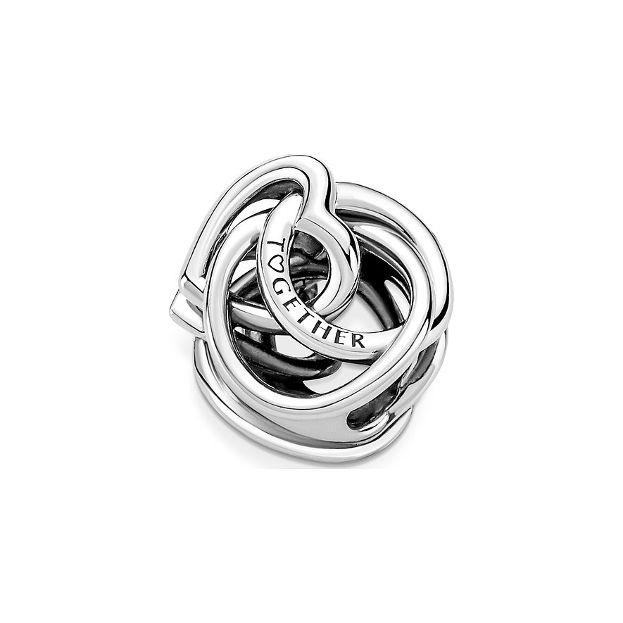 Pandora Charm Moments