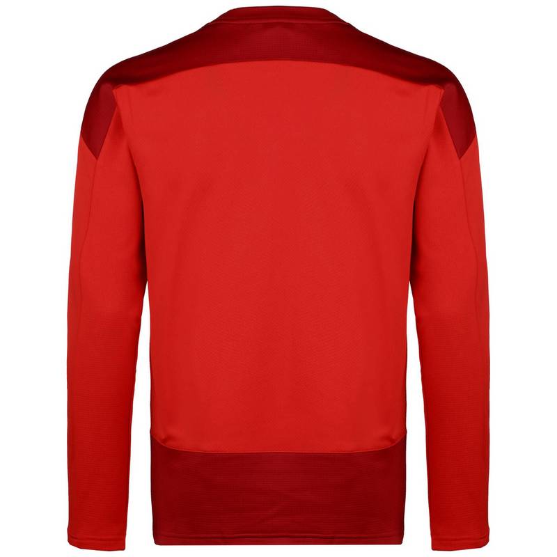 PUMA teamGOAL 23 Funktionssweatshirt Herren