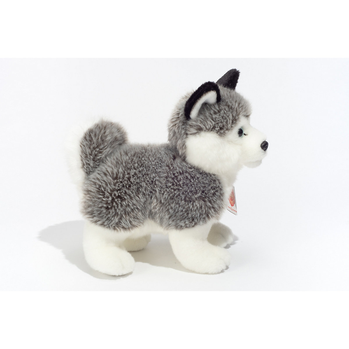 Husky stehend 23 cm