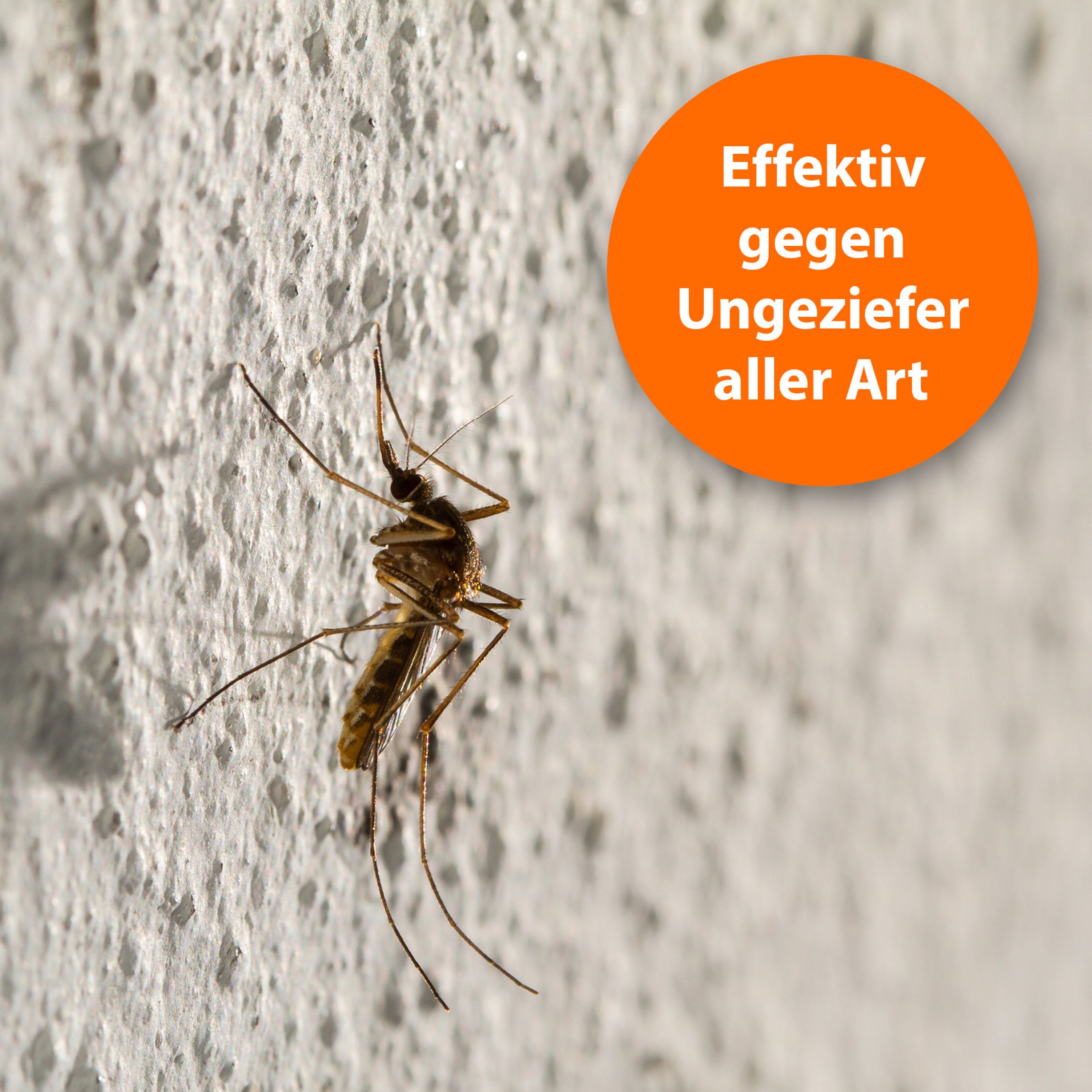 Ardap Insektenspray ARDAP® Ungeziefer Zerstäuber Pumpspray 500 ml