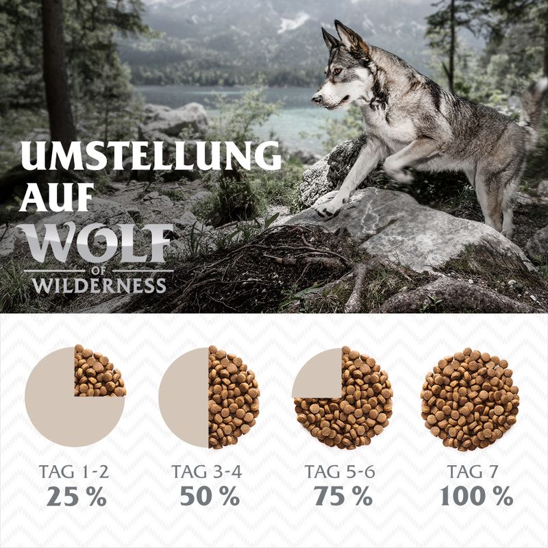 Wolf of Wilderness 'Ruby Midnight' - Rind & Kaninchen