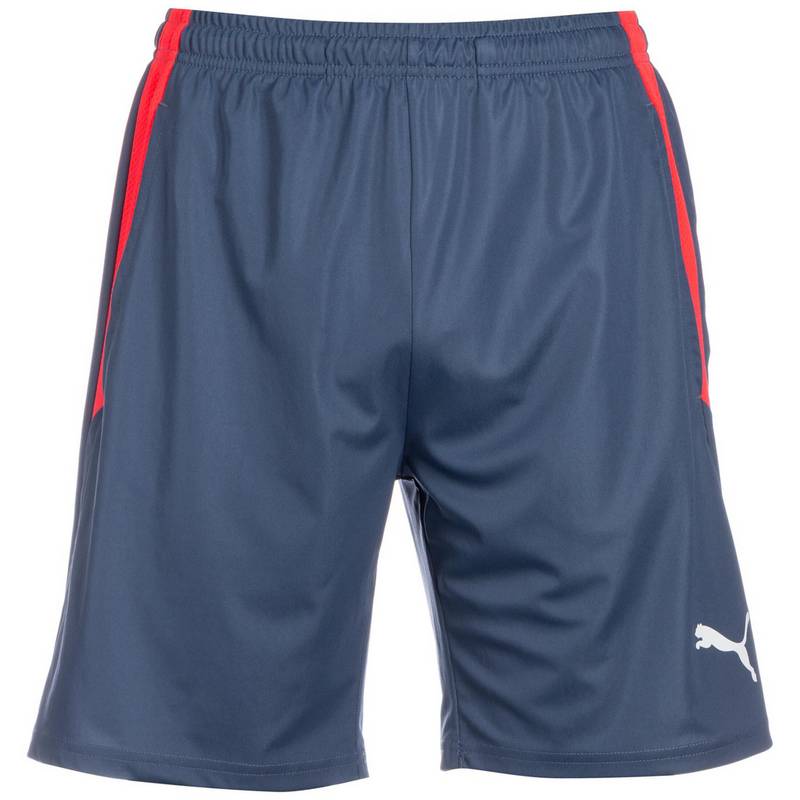 PUMA TeamLIGA Training Fuballshorts Herren