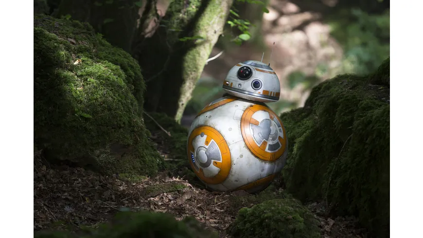 Star Wars - Das Erwachen der Macht - Line Look 2020