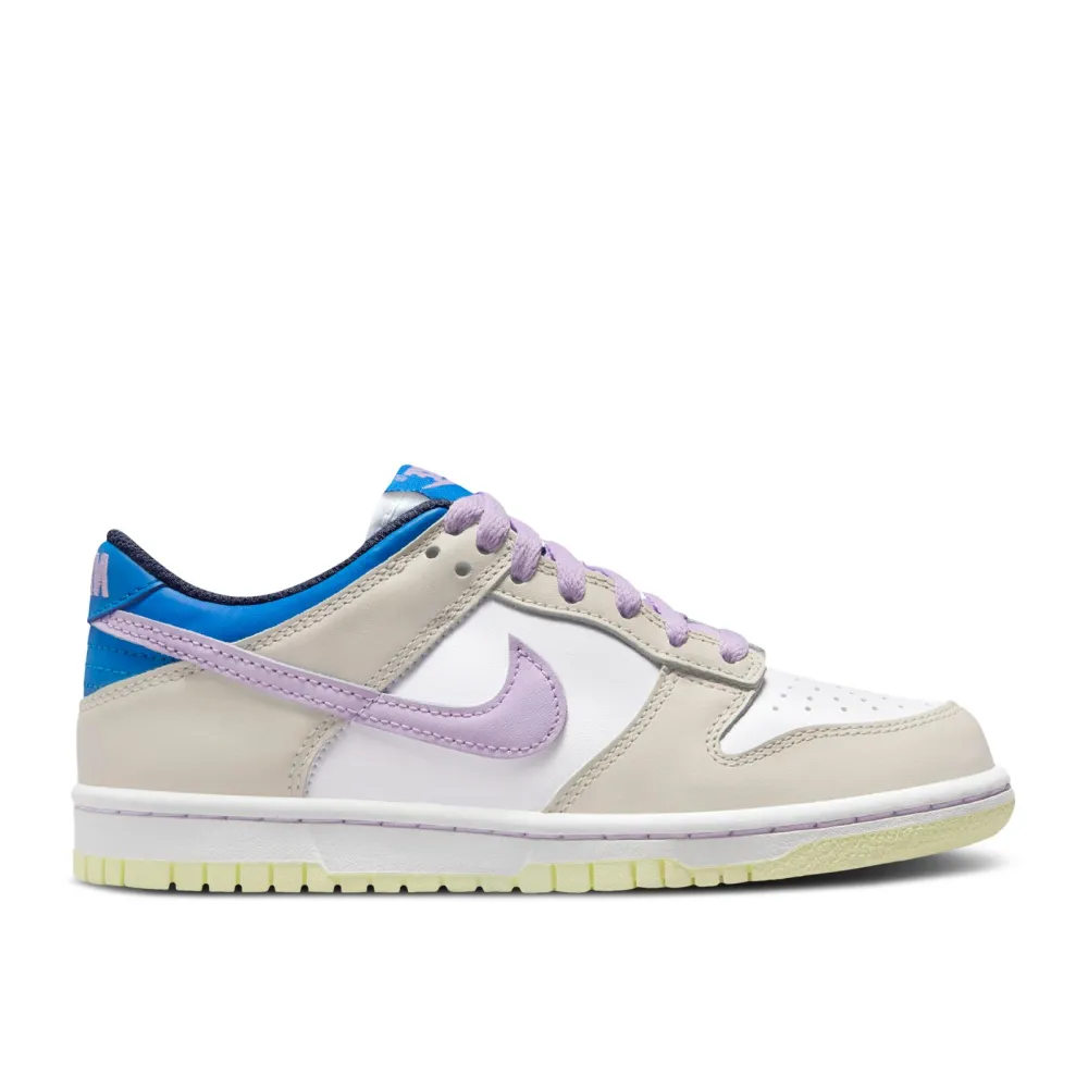 Nike Dunk Low FB9109-103 / braun