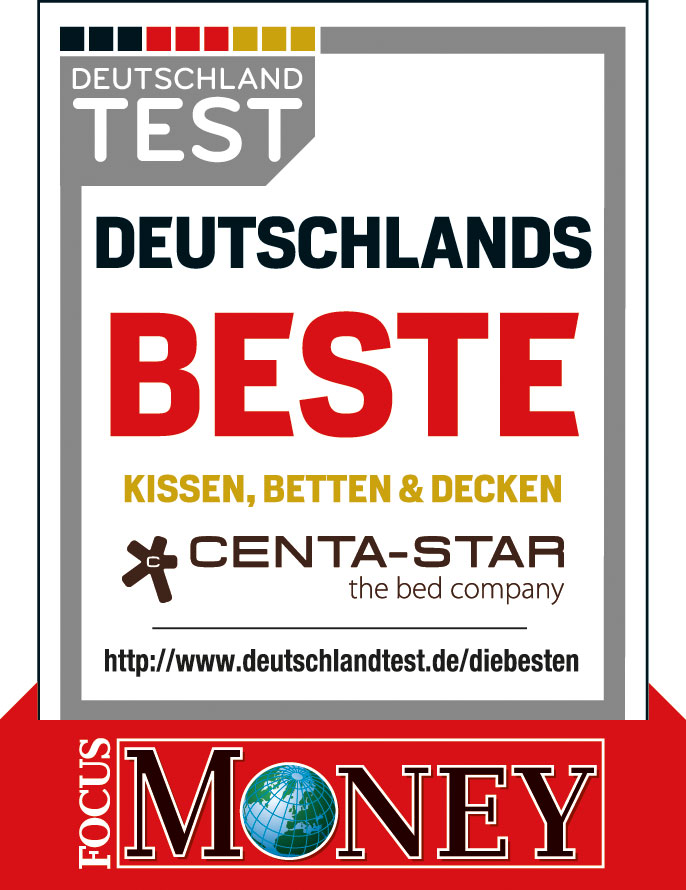 CENTA-STARDaunen-Einziehdecke 500g