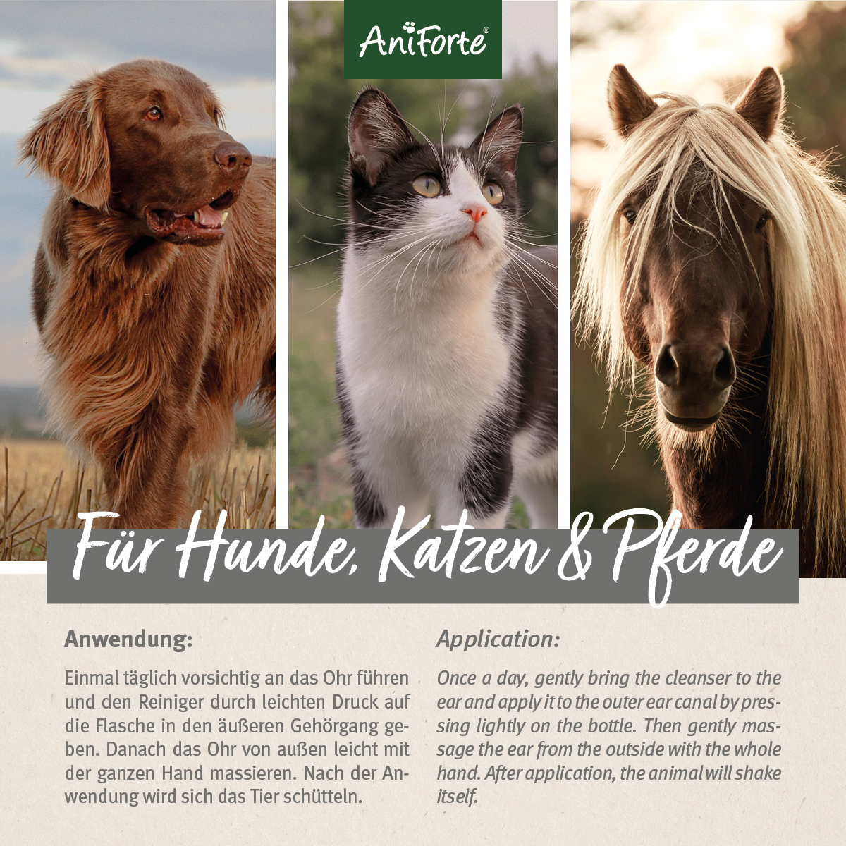 Aniforte Augen- & Ohrenpflege Aniforte VET Ohrenreiniger Kamille 250ml