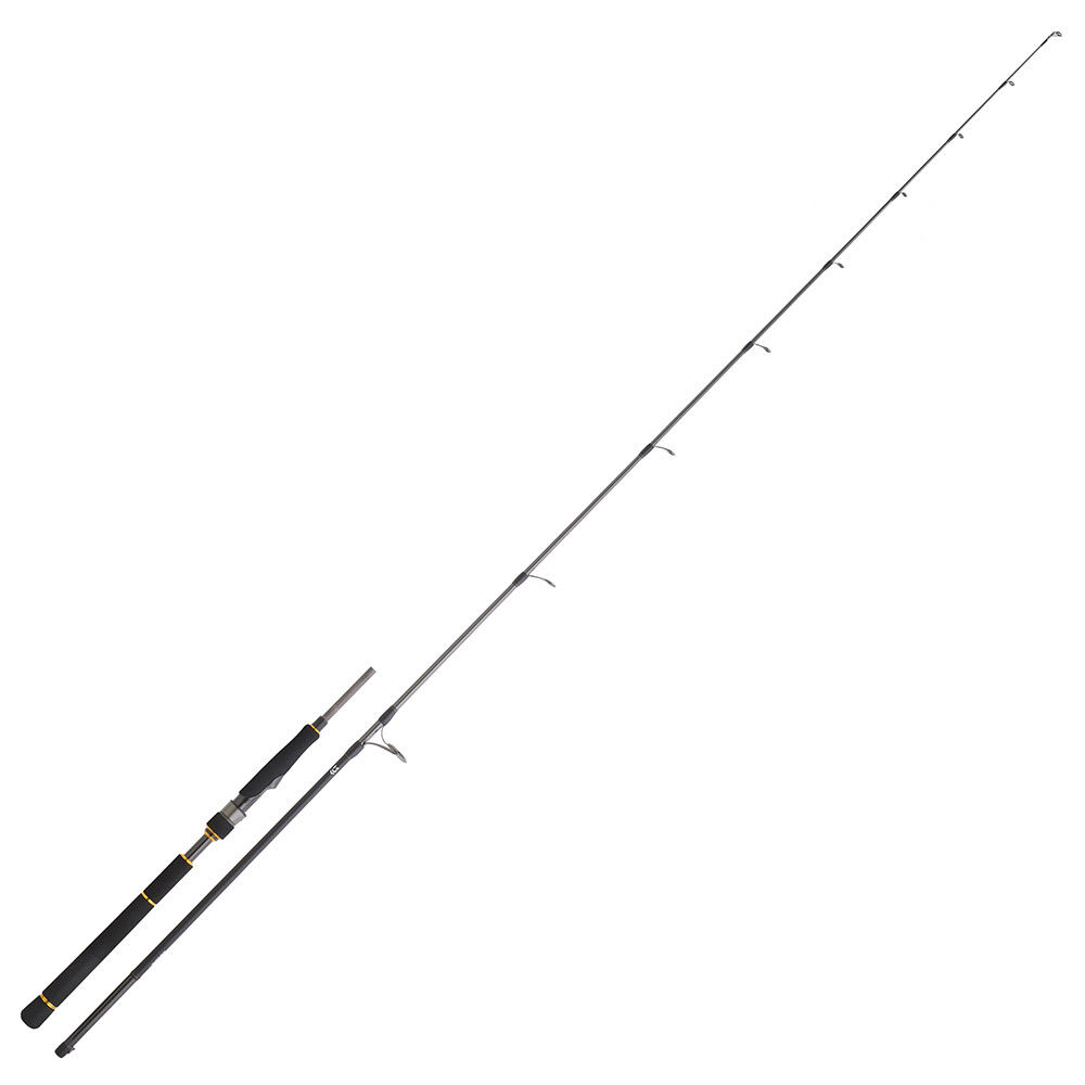 Daiwa Black Gold Seabass 722 2,18 m 28-84 g (2 strengen) werphengel