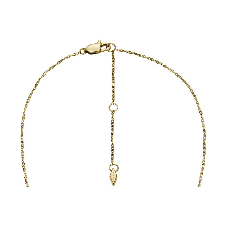 Fossil Kette