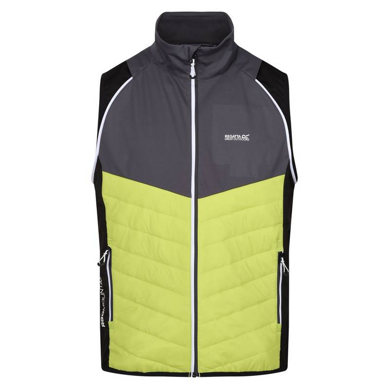 Regatta Steren Funktionsjacke Herren