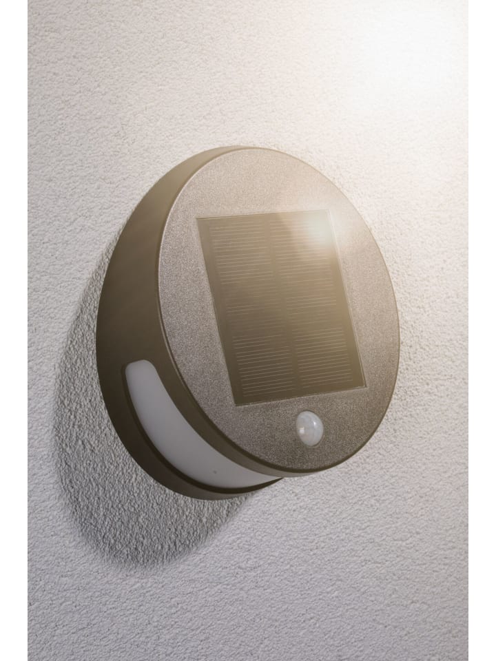 paulmann Solar LED Außenwandleuchte Helena günstig kaufen onesize