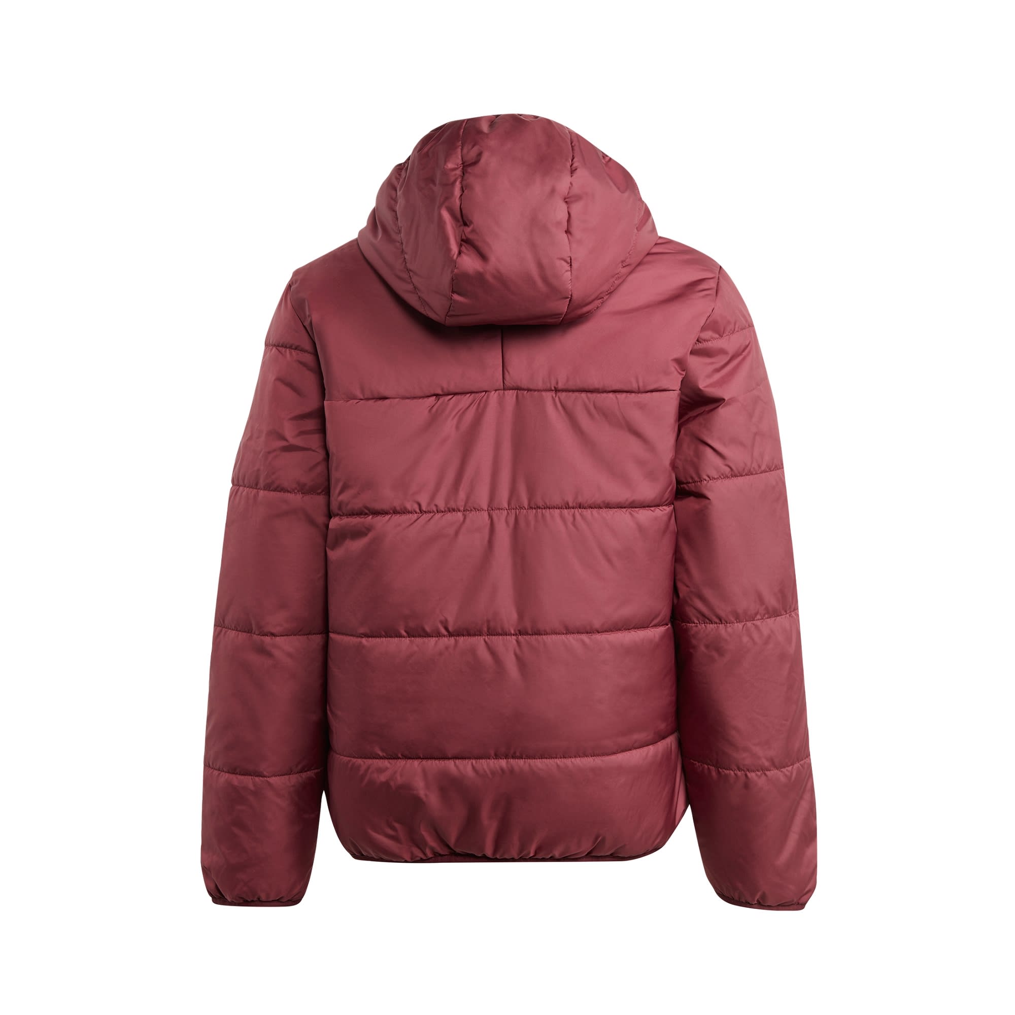 Winter Jacket 'Adicolor'