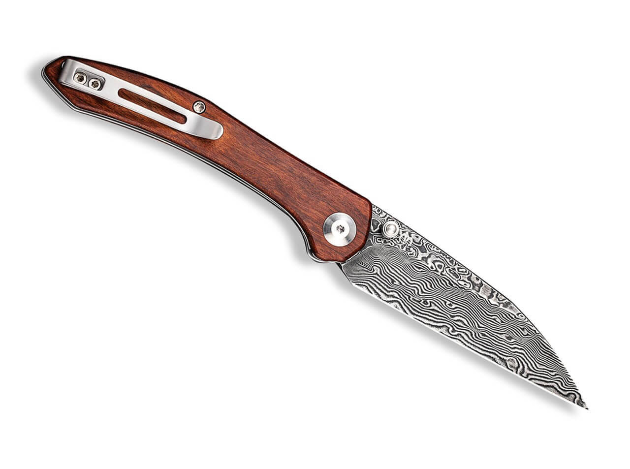 Hadros Cuibourtia Damascus