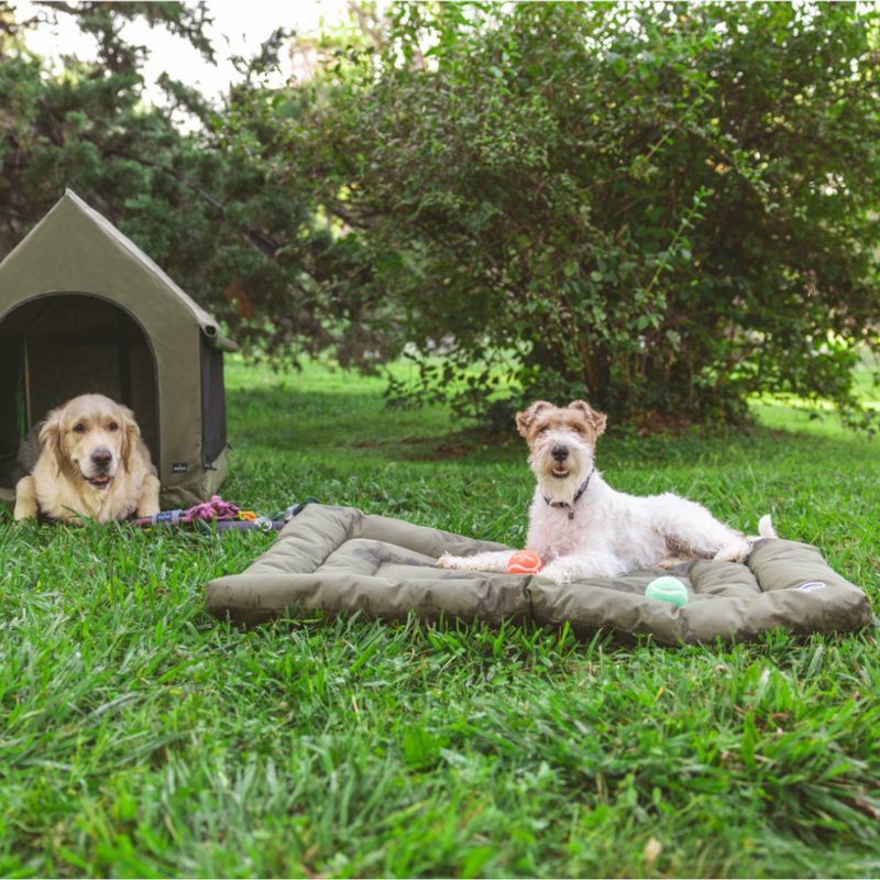 Nomad Tales Spirit Outdoor Hundekissen Pine