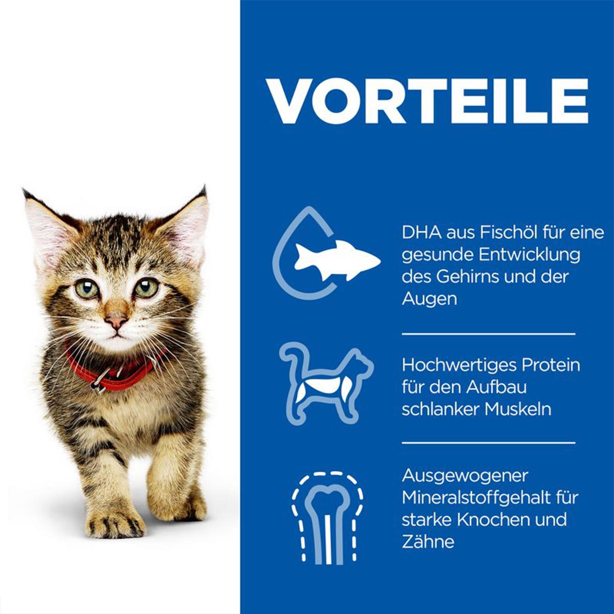 Hill's Science Plan Katze Kitten Huhn 1,5kg kaufen
