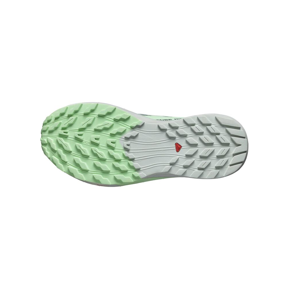 Salomon Sense Ride 5 W L47314100 / grün