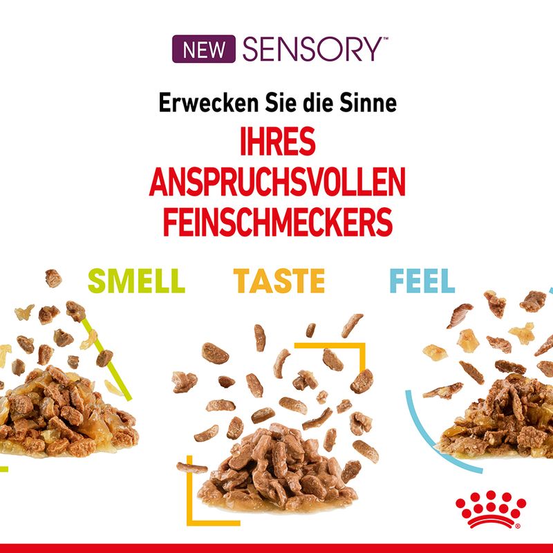Mixpaket Royal Canin Sensory in Soße zu TOP-Preisen